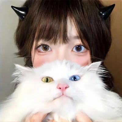 帕丁顿熊2